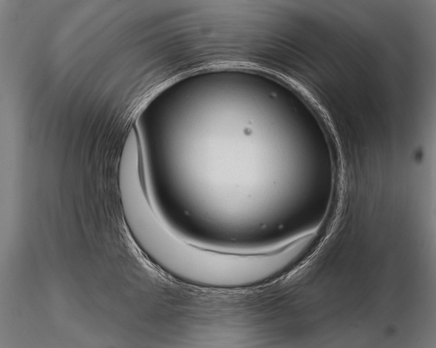 X0000116320905200912151239