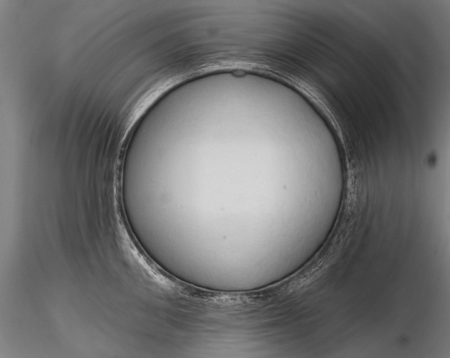 X0000116320906200912151239