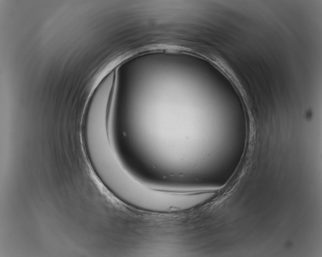 X0000116320909200912151239