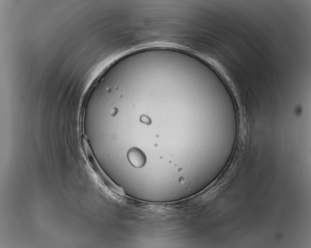 X0000116320910200912151239