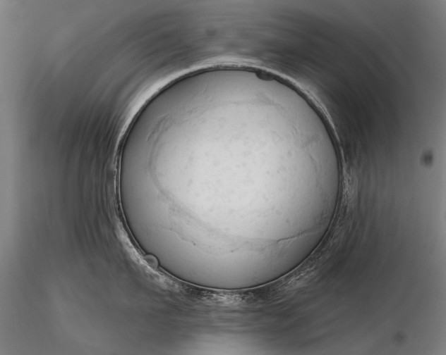 X0000116320911200912151239