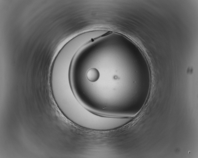 X0000116320912200912151239