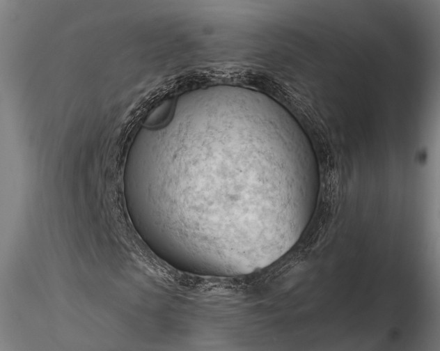 X0000116320913200912151239