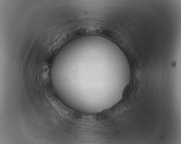 X0000116320914200912151239