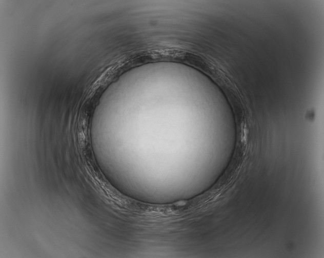 X0000116320915200912151239