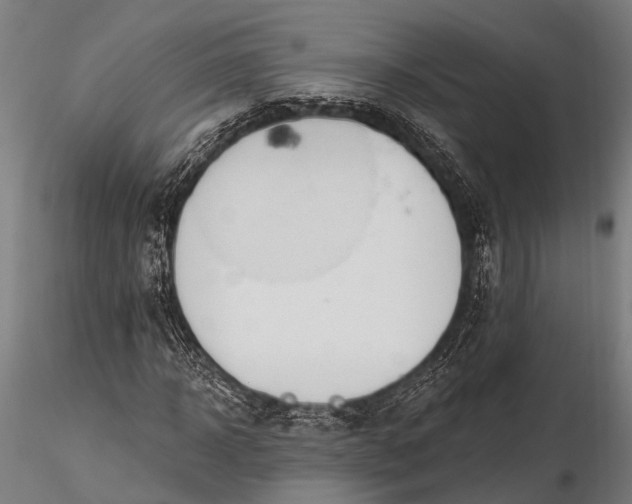 X0000116320918200912151239