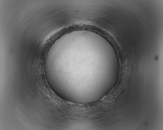 X0000116320919200912151239