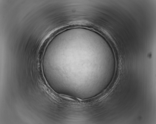 X0000116320923200912151239