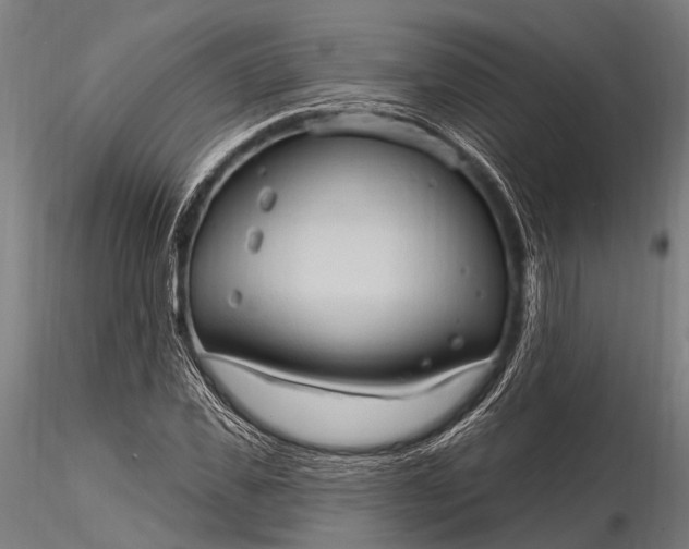 X0000116320925200912151239