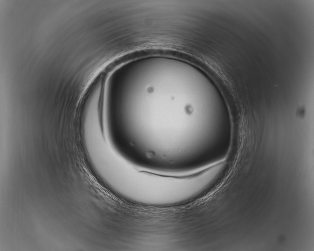 X0000116320926200912151239