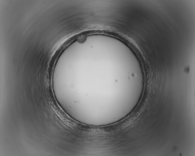 X0000116320927200912151239