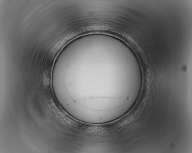 X0000116320929200912151239