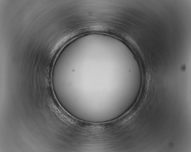 X0000116320930200912151239