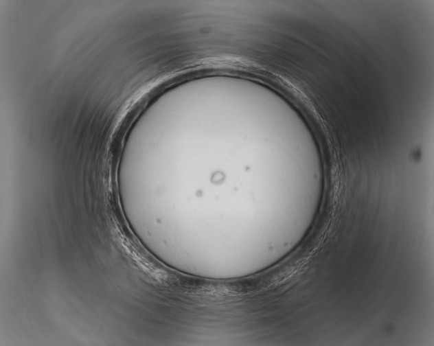 X0000116320931200912151239