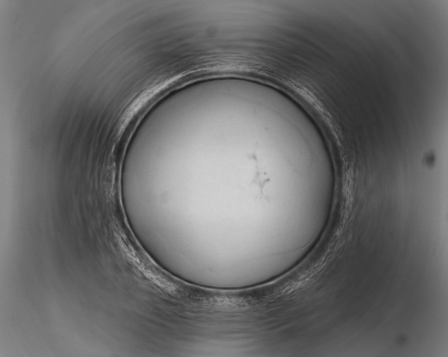 X0000116320933200912151239