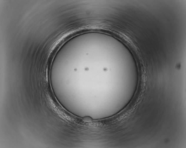 X0000116320934200912151239