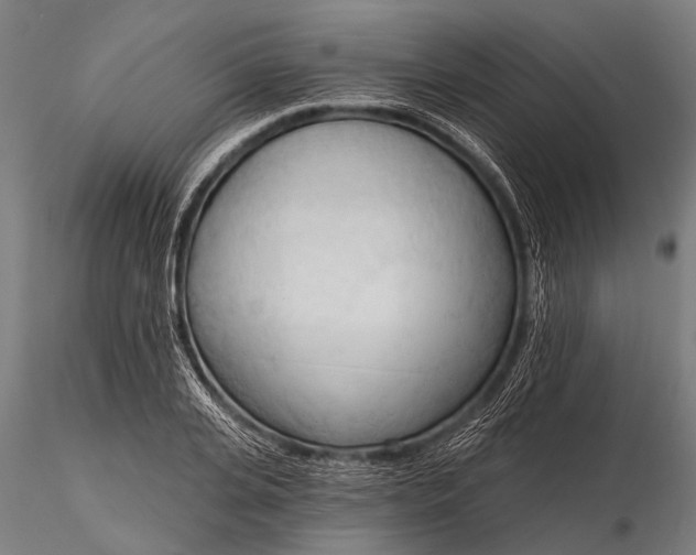 X0000116320935200912151239