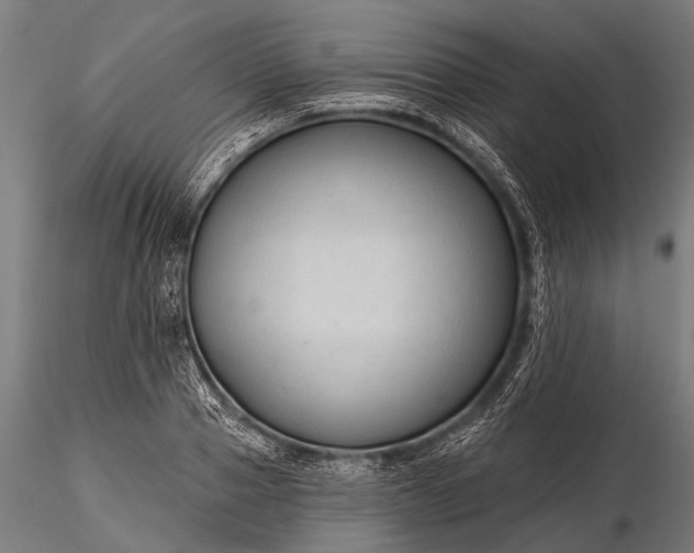 X0000116320937200912151239