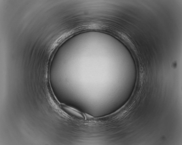 X0000116320938200912151239