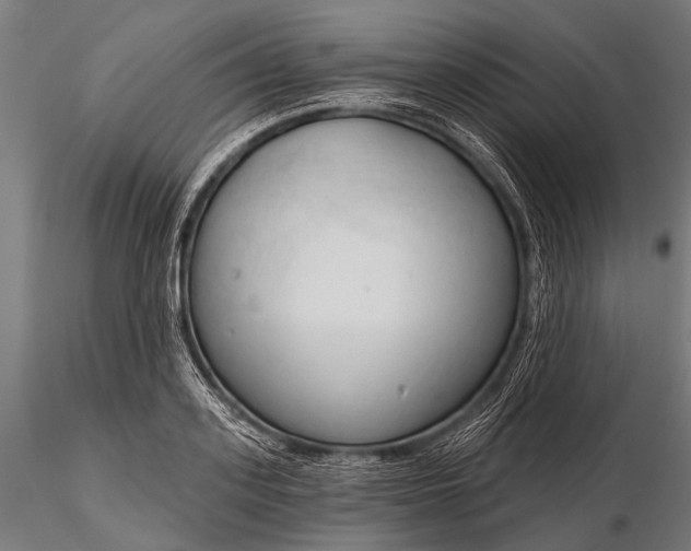 X0000116320939200912151239