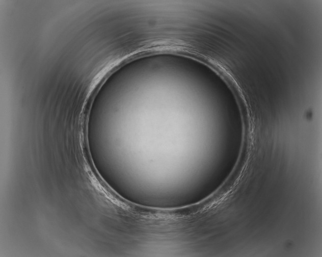 X0000116320941200912151239