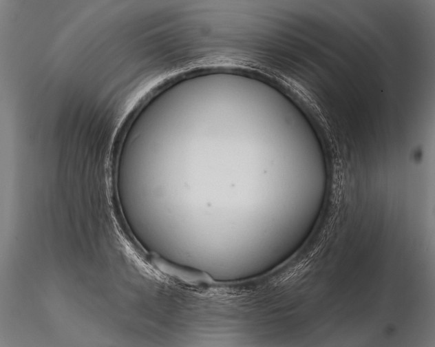 X0000116320942200912151239