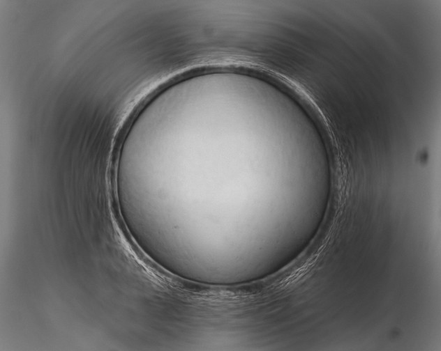 X0000116320943200912151239