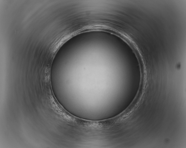 X0000116320945200912151239