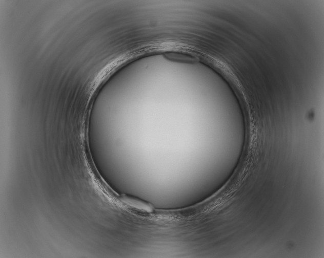 X0000116320946200912151239