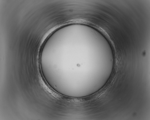 X0000116320947200912151239