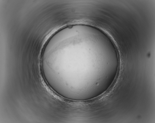 X0000116320949200912151239