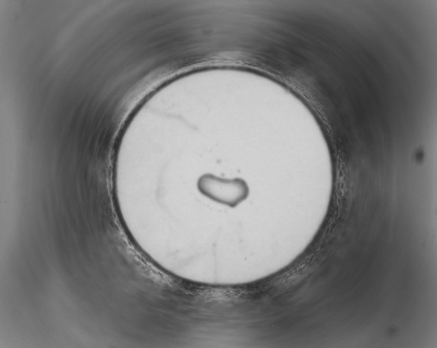 X0000116320950200912151239