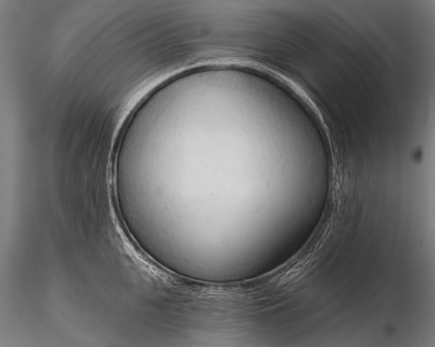 X0000116320951200912151239