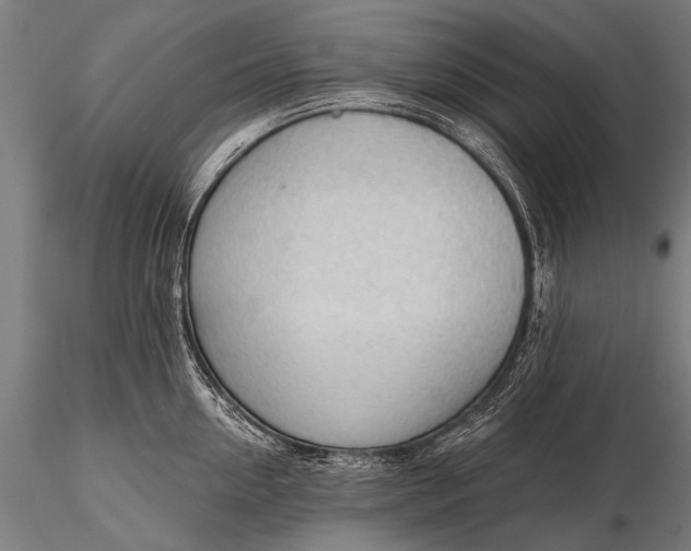 X0000116320954200912151239