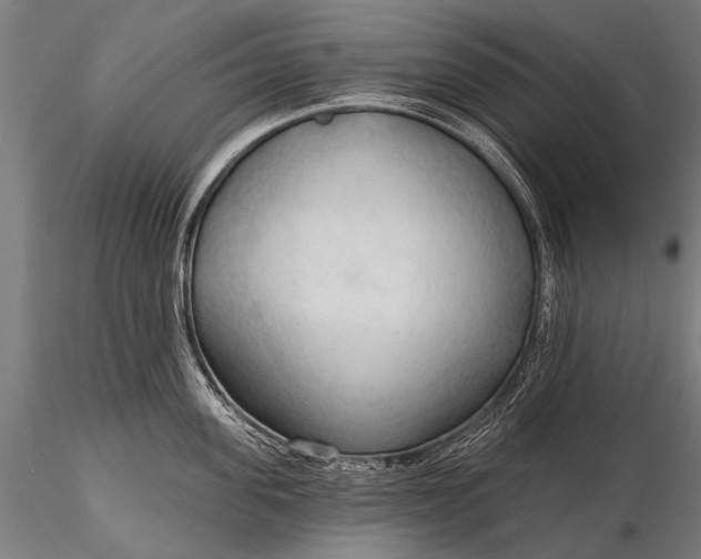 X0000116320955200912151239