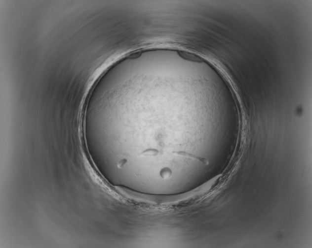 X0000116320957200912151239