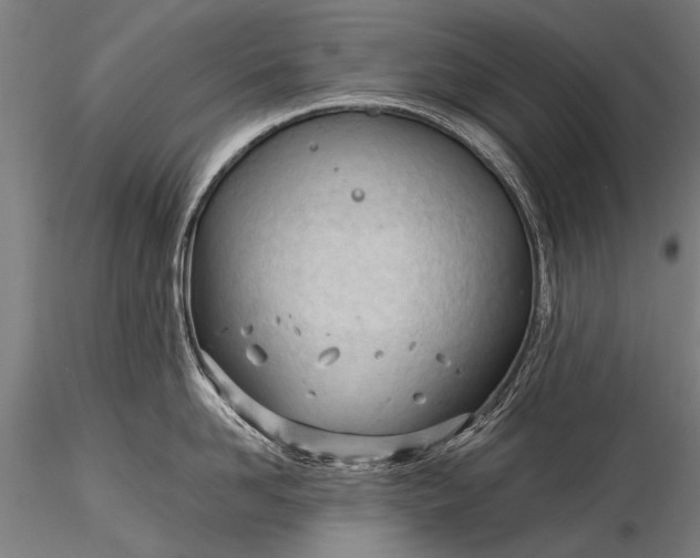 X0000116320958200912151239