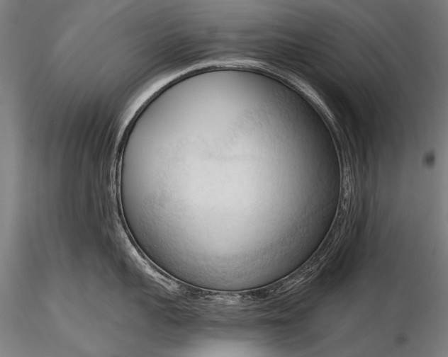 X0000116320959200912151239