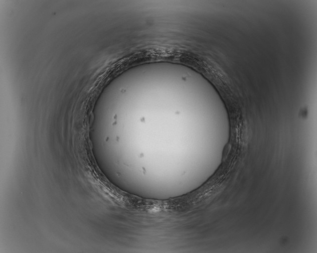 X0000116320961200912151239