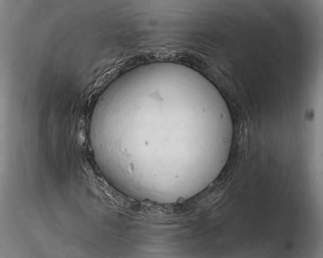 X0000116320962200912151239