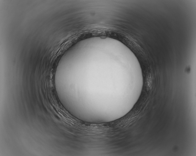 X0000116320964200912151239