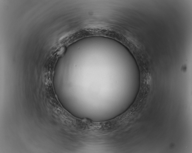 X0000116320965200912151239