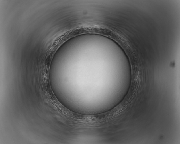 X0000116320966200912151239