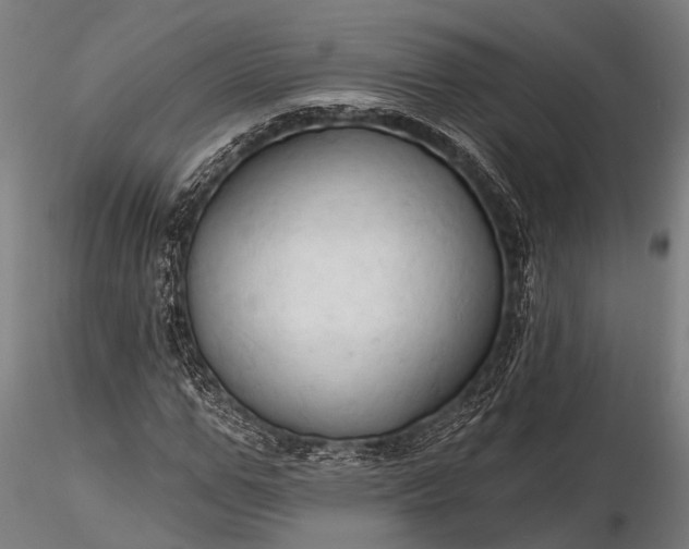 X0000116320967200912151239