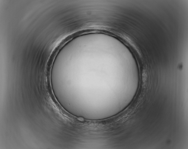 X0000116320972200912151238