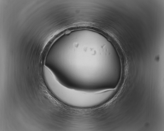 X0000116320973200912151238