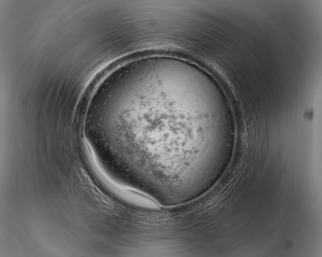 X0000116320975200912151238