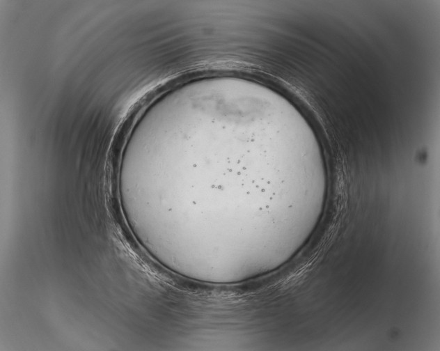 X0000116320979200912151238