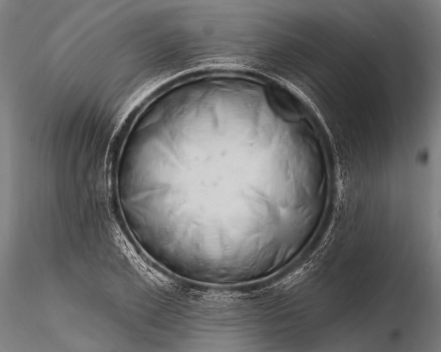 X0000116320981200912151238