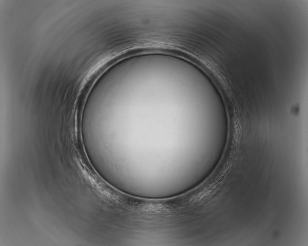 X0000116320982200912151238